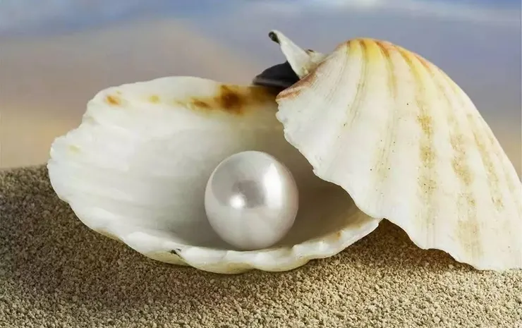 照片來源：網路圖庫