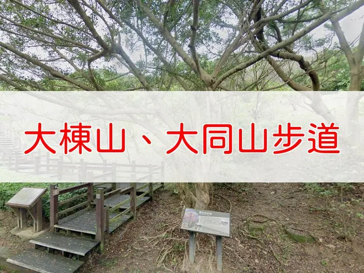 【新北】小百岳-樹林大棟山、青龍嶺、大同山步道 | 全長：9.5公里 | 難度：低-中