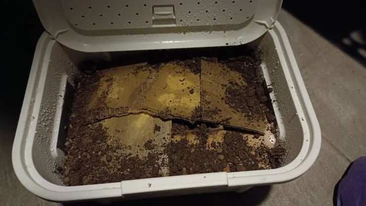 還有看到有人說上面可以墊一層厚紙板,也可以防止小蟲和保濕,但我自己覺得每次要餵的時候都挺麻煩的,後來就沒有這樣做