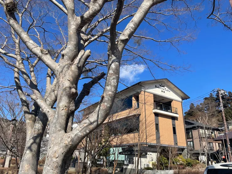 Bakery and table箱根