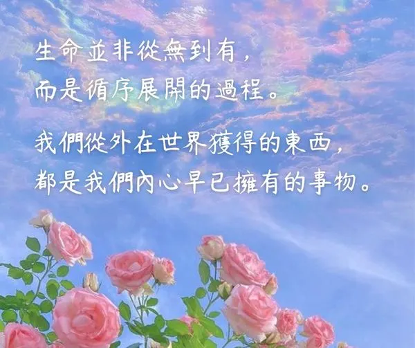 可能是玫瑰和顯示的文字是「生命並非從無到有， 而是循序展開的過程。 我們從外在世界獲得的東西 都是我們内心早已擁有的事物。」的圖像