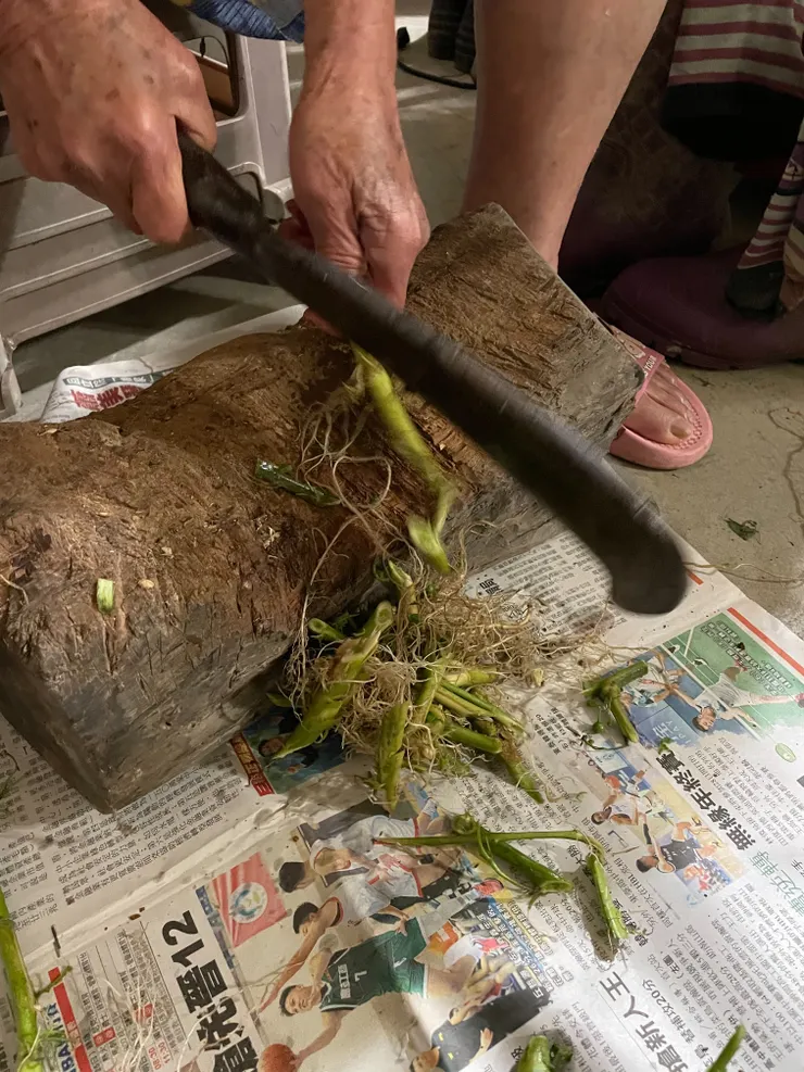 阿媽拿鐮刀用力砍草根