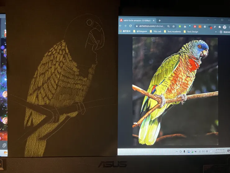 聖露西亞鸚鵡,02:16