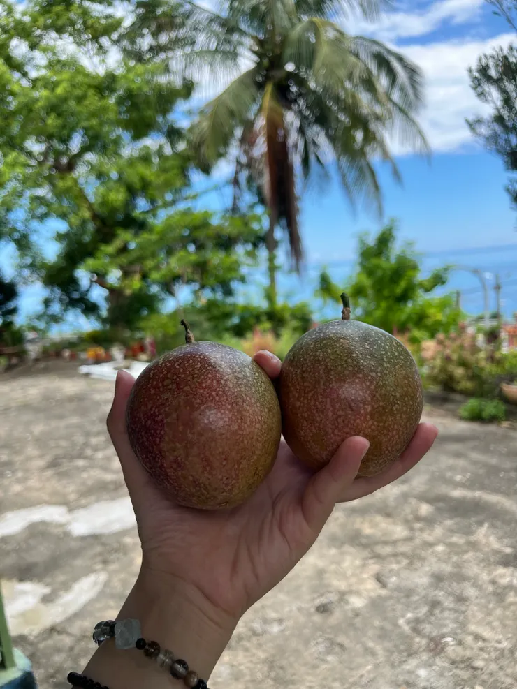 兩顆好吃多汁的百香果