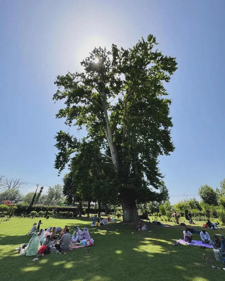 蒙兀兒式花園 Mughal Garden