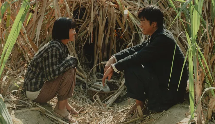 《大濛》劇照：育雲躲在甘蔗田，與妹妹阿月對話