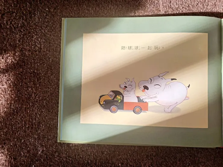 《球球和哥哥》