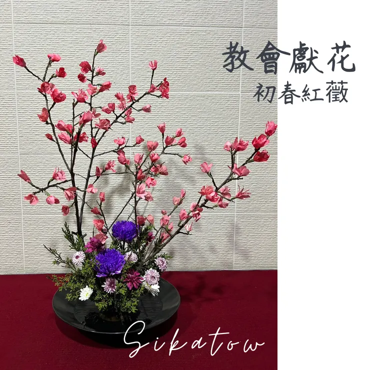 濾紙花|Sikatow手折花