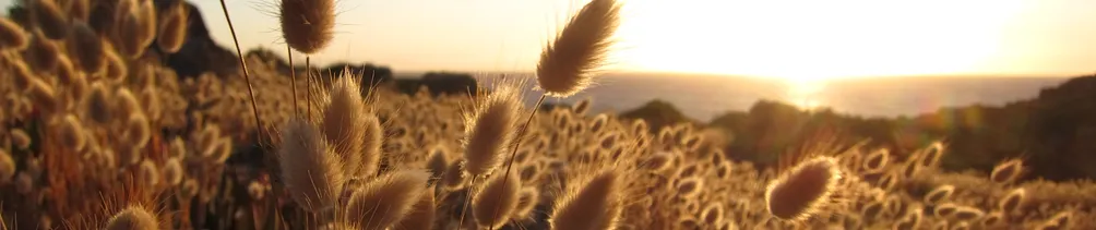 海倫胡 說說靈性
