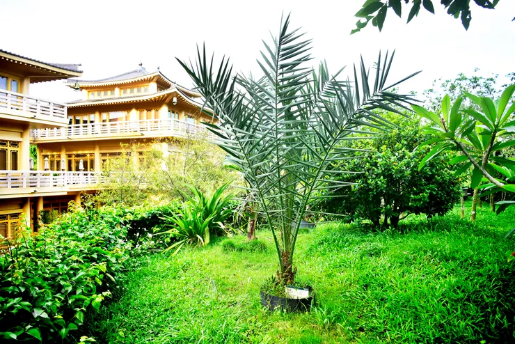 圖 / 佛光山佛陀紀念館