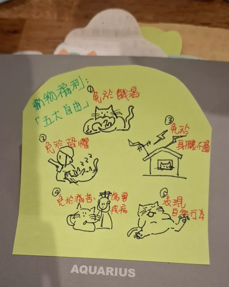 動物五大福利。圖片是參考了養在室內的寵物貓。