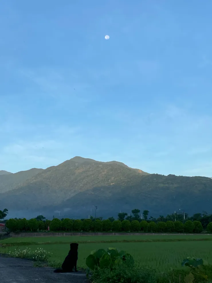 露露望月