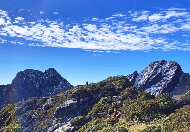 玉山北峰眺望主峰
