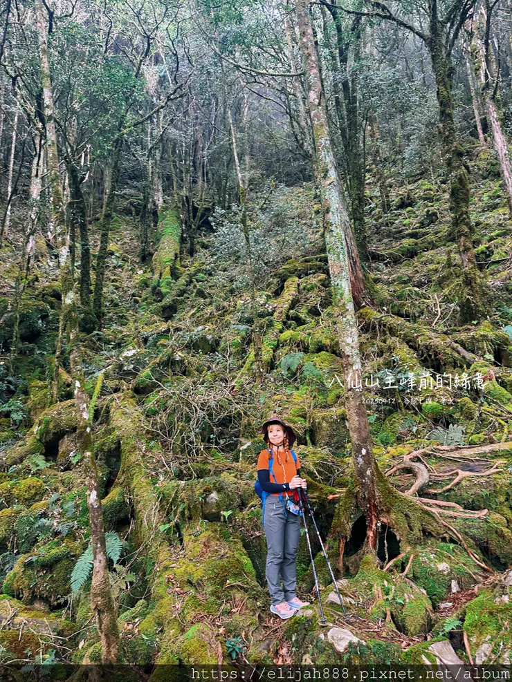 【谷關健行/住宿】谷關七雄老大。海拔2366公尺八仙山主峰。