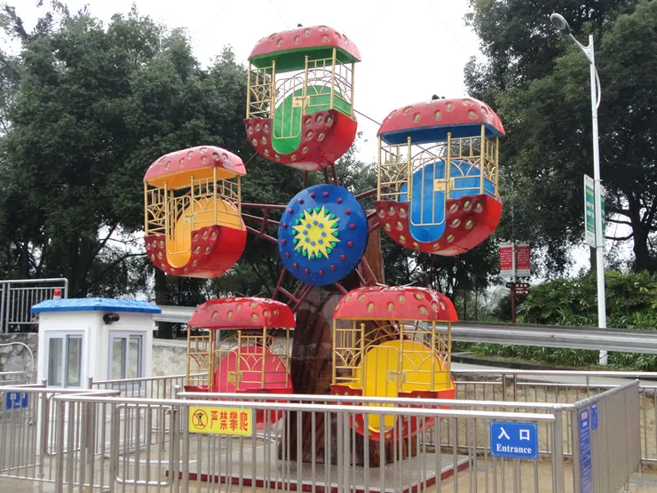 mini ferris wheel
