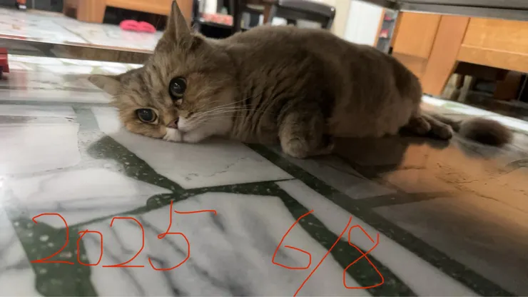 媽媽拍攝於 2025/6/8