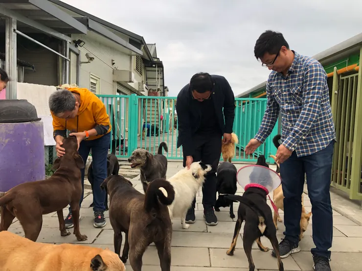 除了政府單位的動物收容所之外，民間也有流浪動物中途之家，歡迎民眾前往認養 （照片中是位於宜蘭縣冬山鄉的『飛翔蜜境關懷動物協會』）