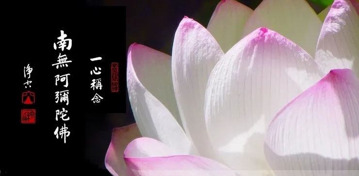 一向專念 阿彌陀佛 求生淨土