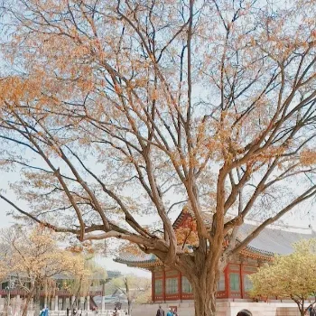 午後甜點店的我的沙龍