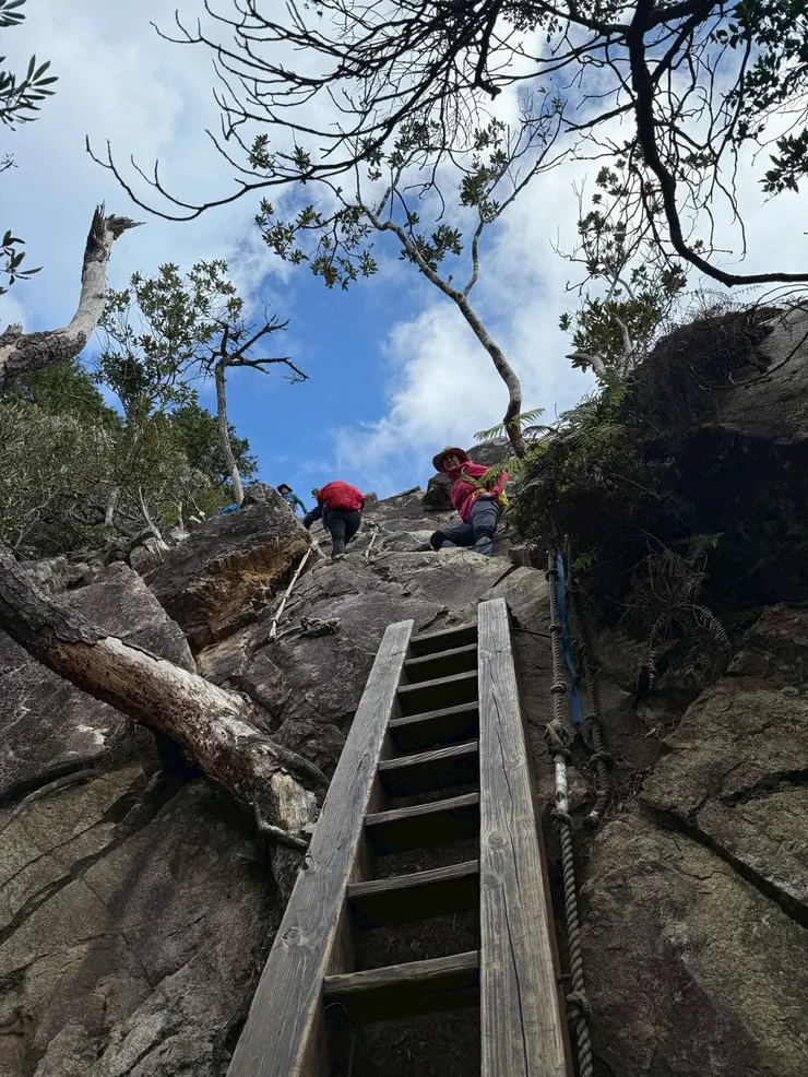 近乎90度的木梯和樹根岩石混雜的路段