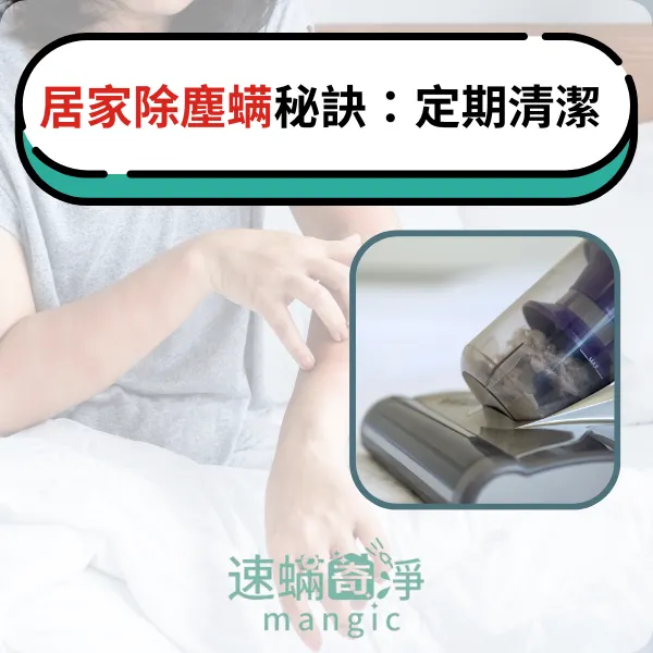 台北除螨推薦.新北除螨推薦.台北除塵螨.新北除塵螨