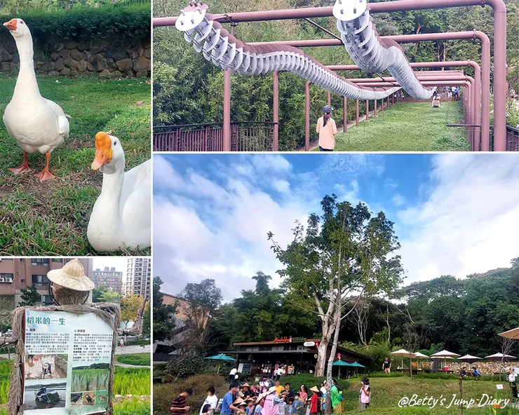 ▲大有梯田生態公園/圖片來源：Betty's Jump Diary