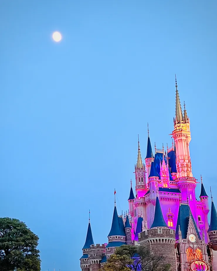 Cinderella Castle