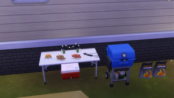 我準備了很多肉食，專門招呼食肉獸朋友，當然蔬菜也不少。