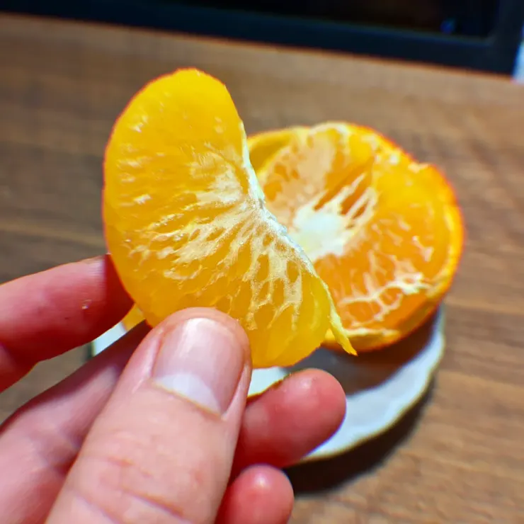 獲得熱呼呼橘子瓣！