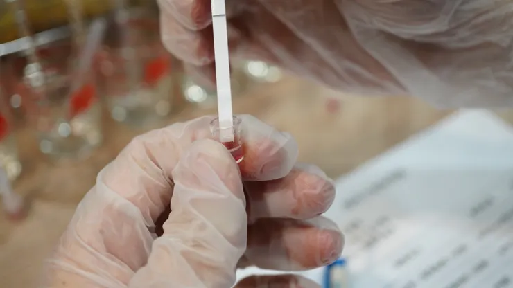 咖啡綠商號定期使用快篩檢測赭麴毒素,避免咖啡豆被汙染