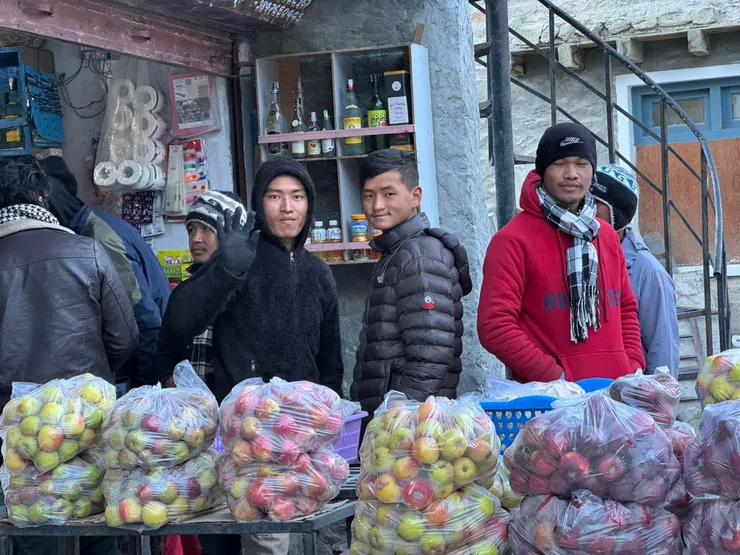 辛苦的年輕協作。