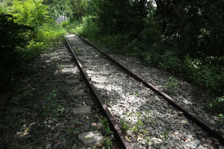 「綠茵鐵道」升級「林蔭鐵道」