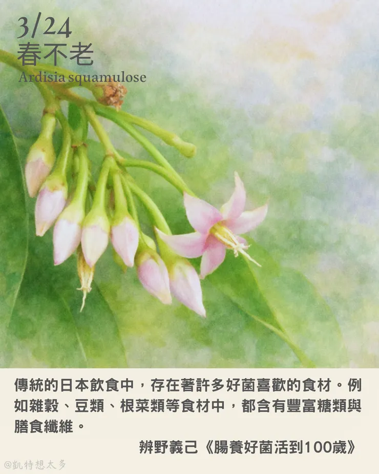春不老×辨野義己《腸養好菌活到100歲》