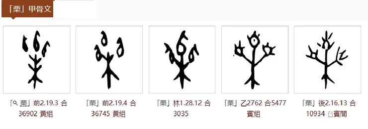 「栗」字甲骨文，非常形象地刻劃出一棵長了渾身帶刺果子的栗子樹。
