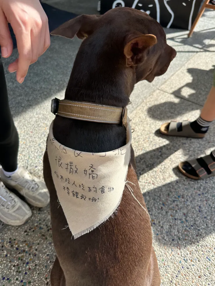 可愛小兜巾上說阿泥愛塞奶喔~愛我請勿餵食~