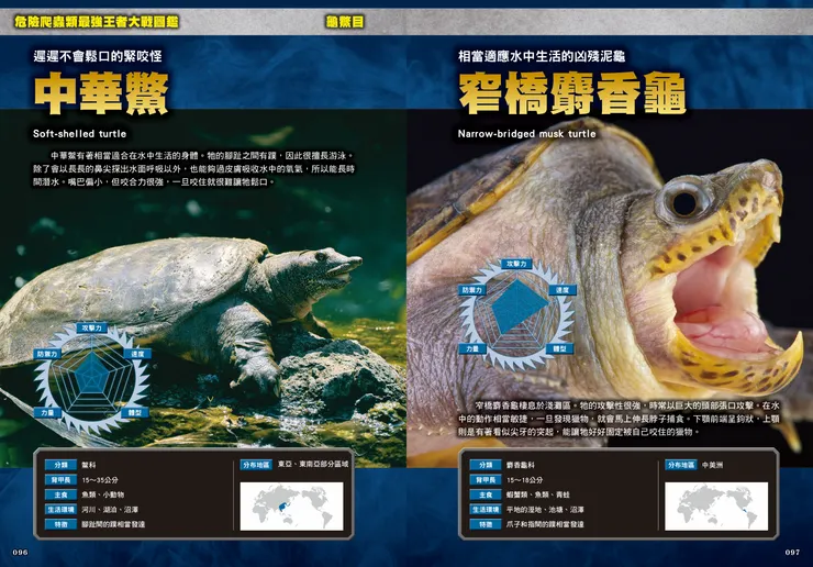 鱉｜最強戰鬥6 危險爬蟲類 最強王者大戰圖鑑｜小角落文化