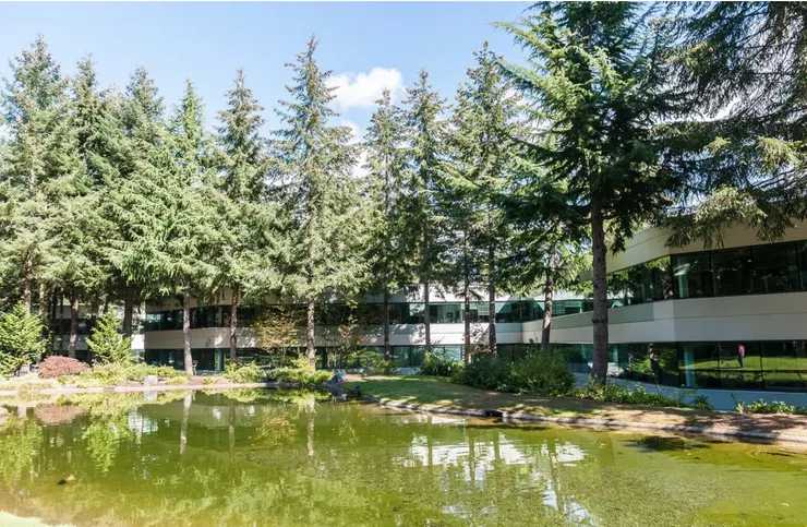 若在微軟園區工作，一眼望去盡是高大的樹林、青綠的湖水和草地，必定心滿意足。（圖截自網路）