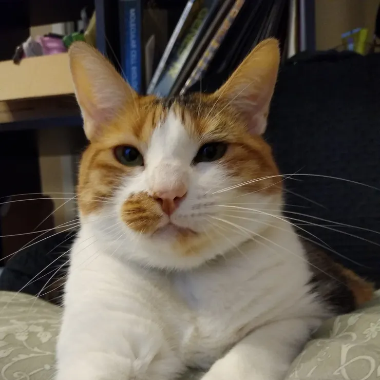 小比：才不要培養感情