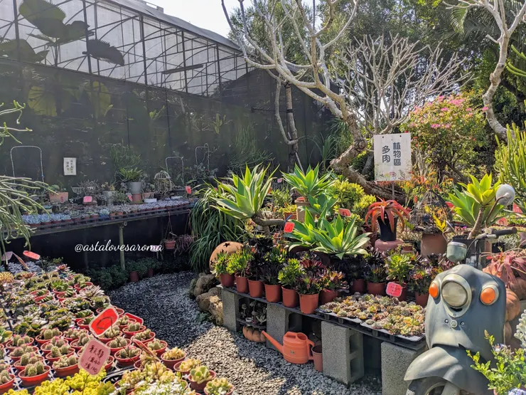 多肉植物區