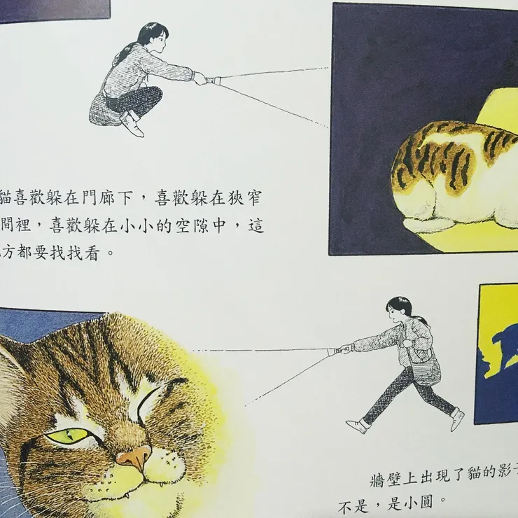 《野貓的研究》