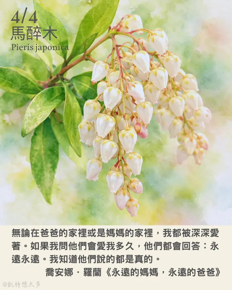 馬醉木×喬安娜．羅蘭《永遠的媽媽，永遠的爸爸》