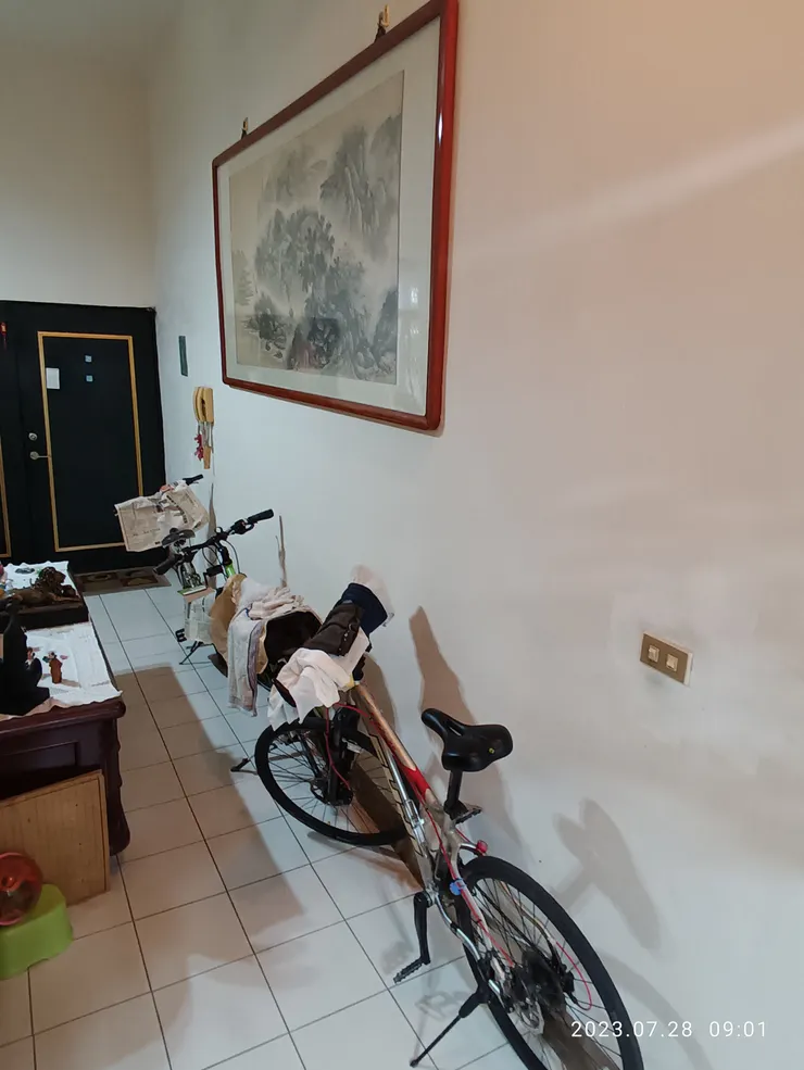 杜蘇芮來，請騎伴入室，共聽雨歌風述懷