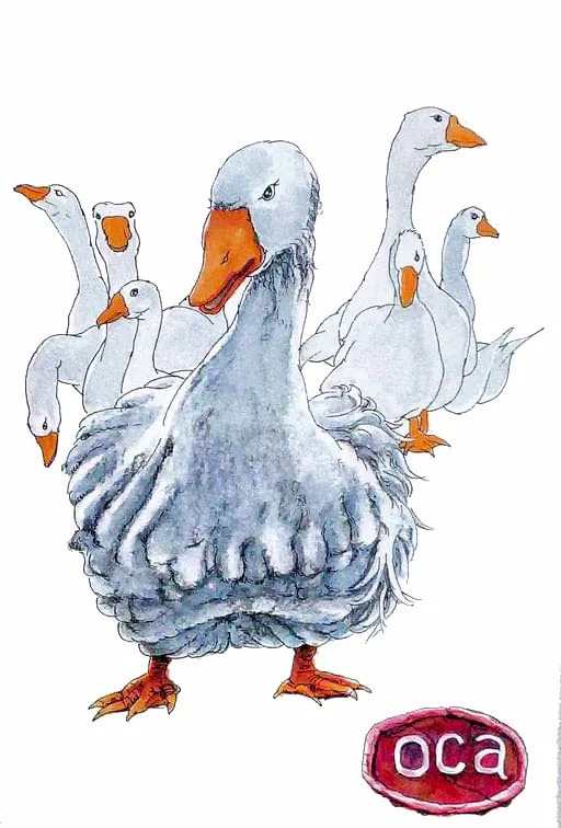 鵝的義大利文就叫做 Oca
