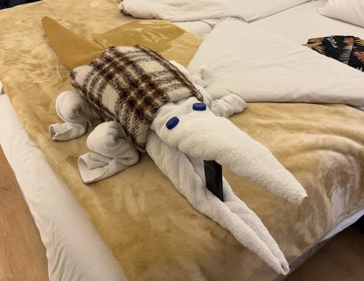 第一天回房間就看到我們的毛巾被折成可愛的鱷魚，身上還穿著我的圍巾 ><