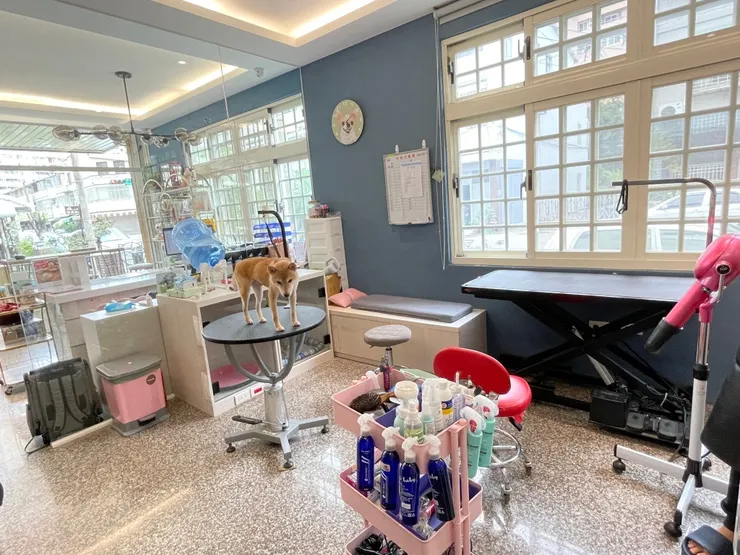 Wen 溫斯頓寵物生活館