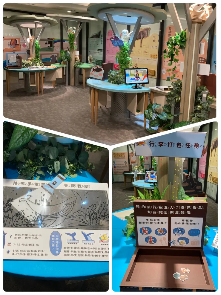 在動物探索教室可以闖關互動