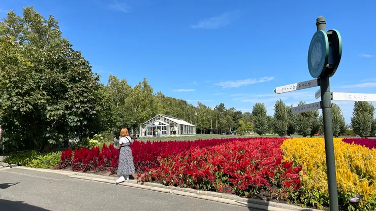 如果不看上面的日文，應該滿有在歐洲的感覺。