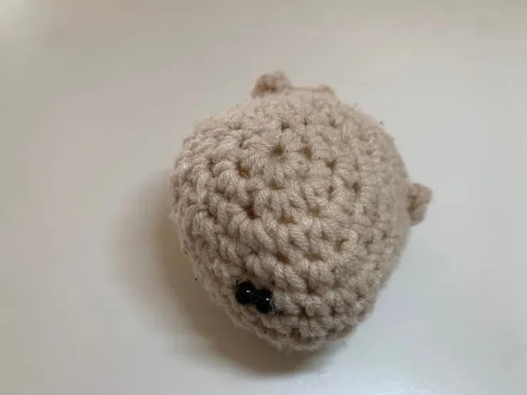 我是鯨魚！我知道，媽媽愛你。