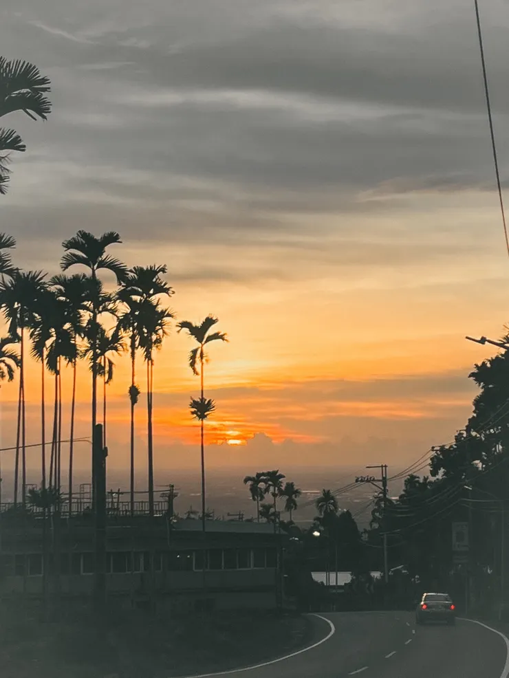 作者拍攝(從山往下看的景，也是以前放學回家要走的路)