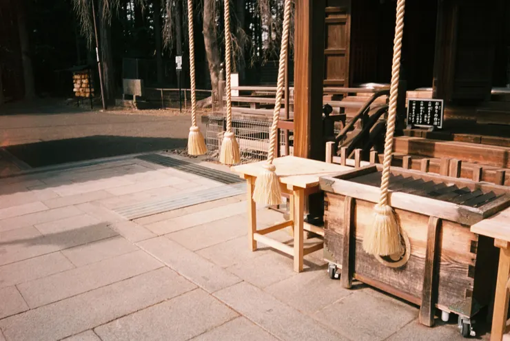 Nikon AF600 - RETO Maple100